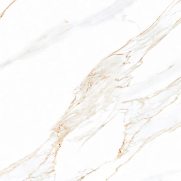 CALCATTA BORGHINI#